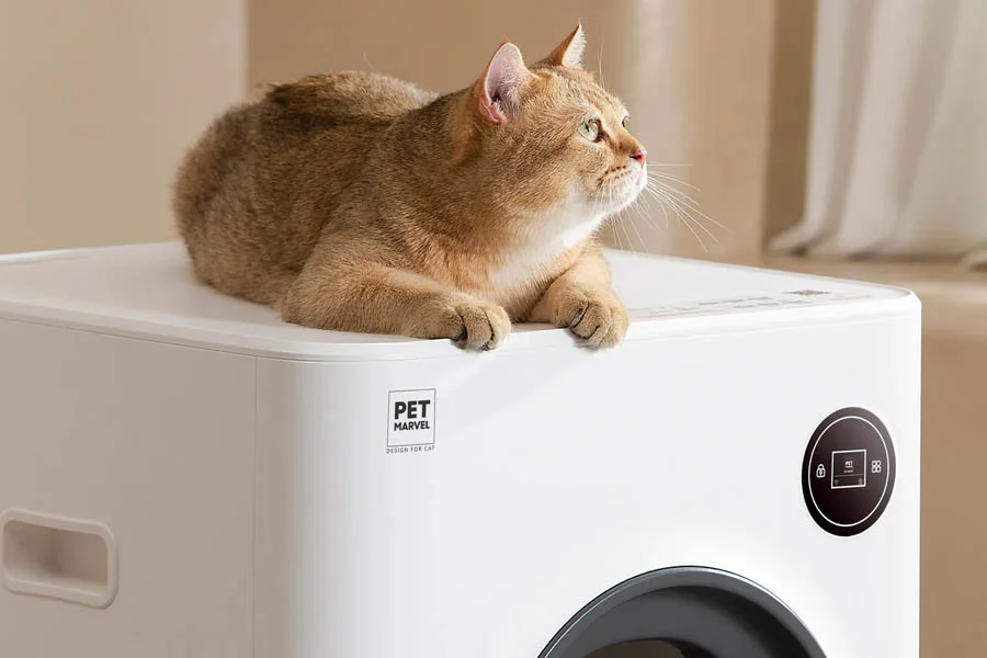 litter box that doesn't smell